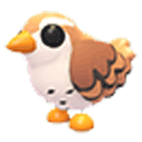 Free Wren Pet